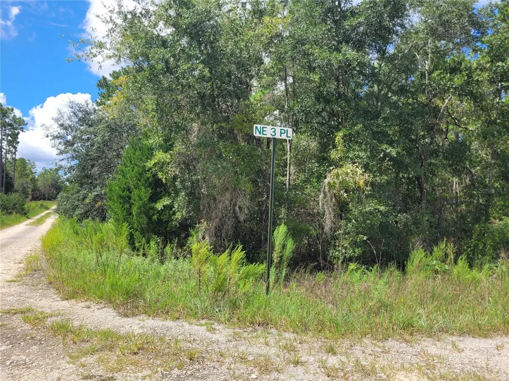 0 NE 3RD PL Williston, FL 32696