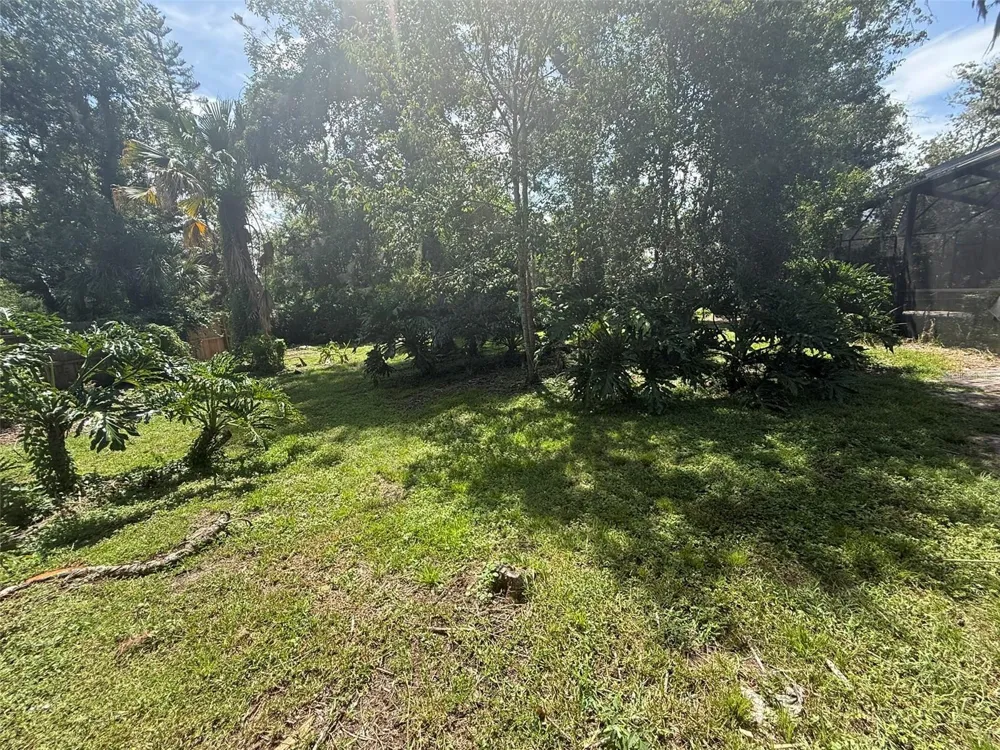 113 LOCUST DRIVE Brandon, FL 33511