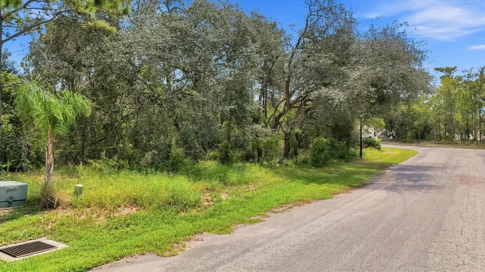 7 HONEYSUCKLE COURT S Homosassa, FL 34446