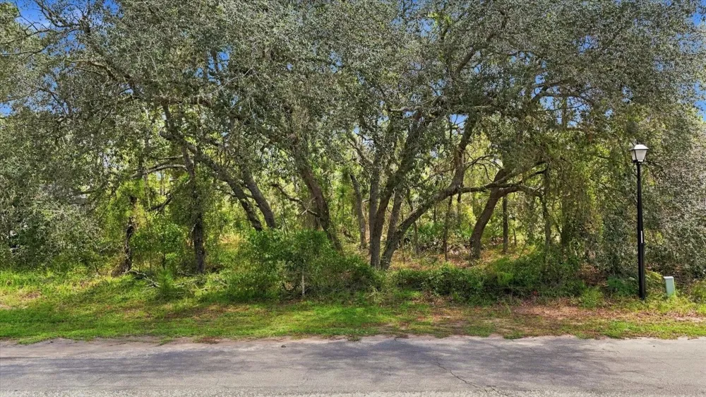 7 HONEYSUCKLE COURT S Homosassa, FL 34446