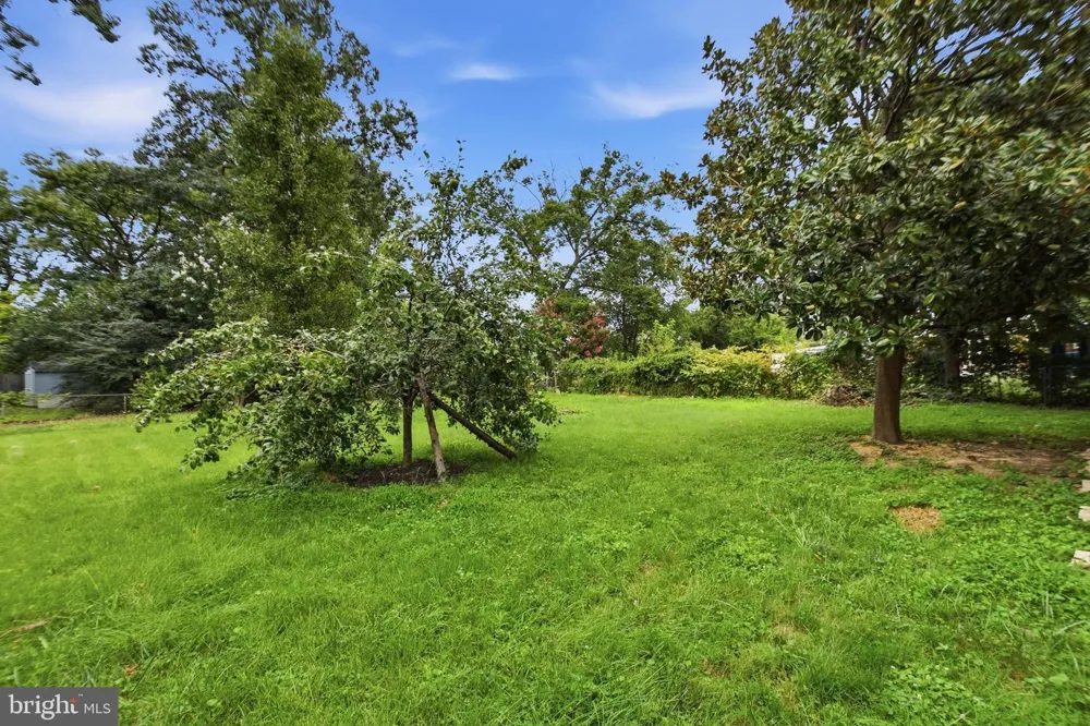 6405 INWOOD DRIVE Springfield, VA 22150