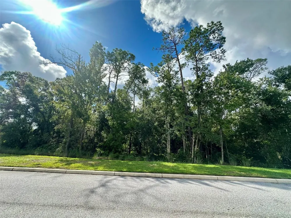 8511 PRIMROSE WILLOW PLACE Odessa, FL 33556