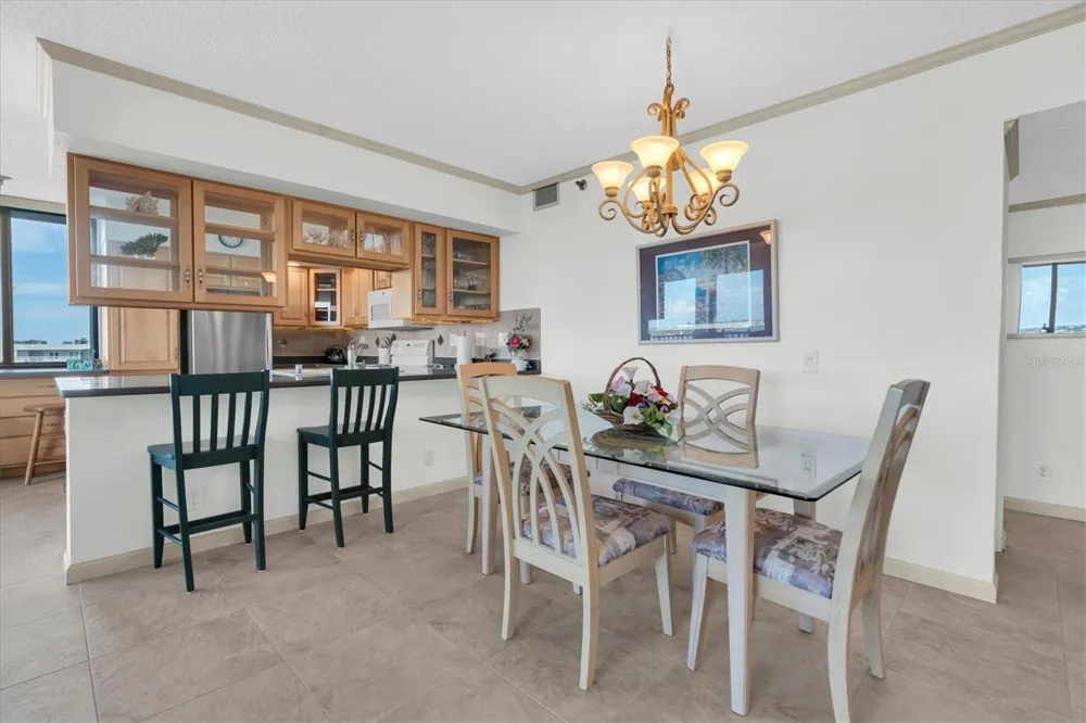 6287 BAHIA DEL MAR CIRCLE #602 St Petersburg, FL 33715