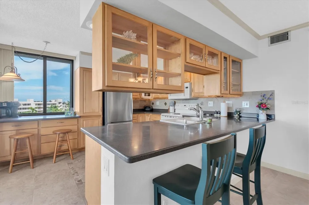 6287 BAHIA DEL MAR CIRCLE #602 St Petersburg, FL 33715