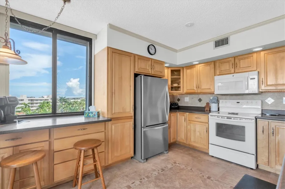 6287 BAHIA DEL MAR CIRCLE #602 St Petersburg, FL 33715