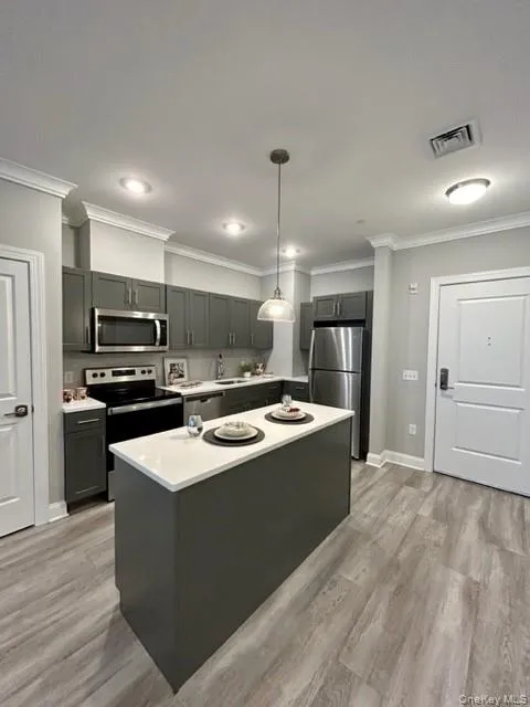 75 E Hoffman Avenue #3005 Lindenhurst, NY 11757