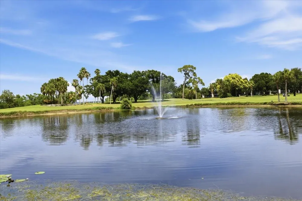 2621 COVE CAY DRIVE #302 Clearwater, FL 33760