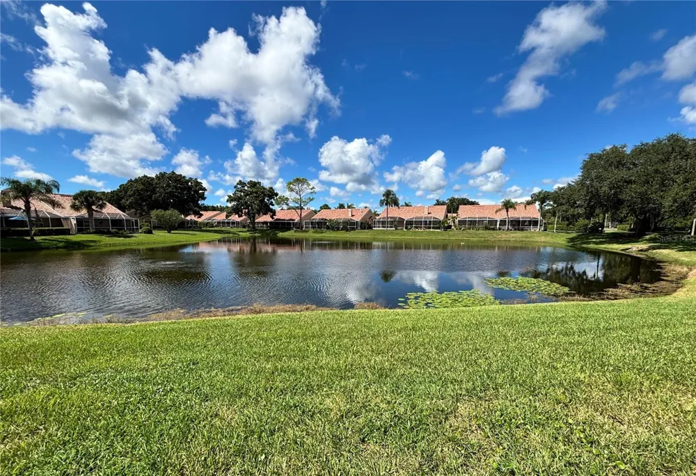 5585 GREYSTON STREET Palm Harbor, FL 34685