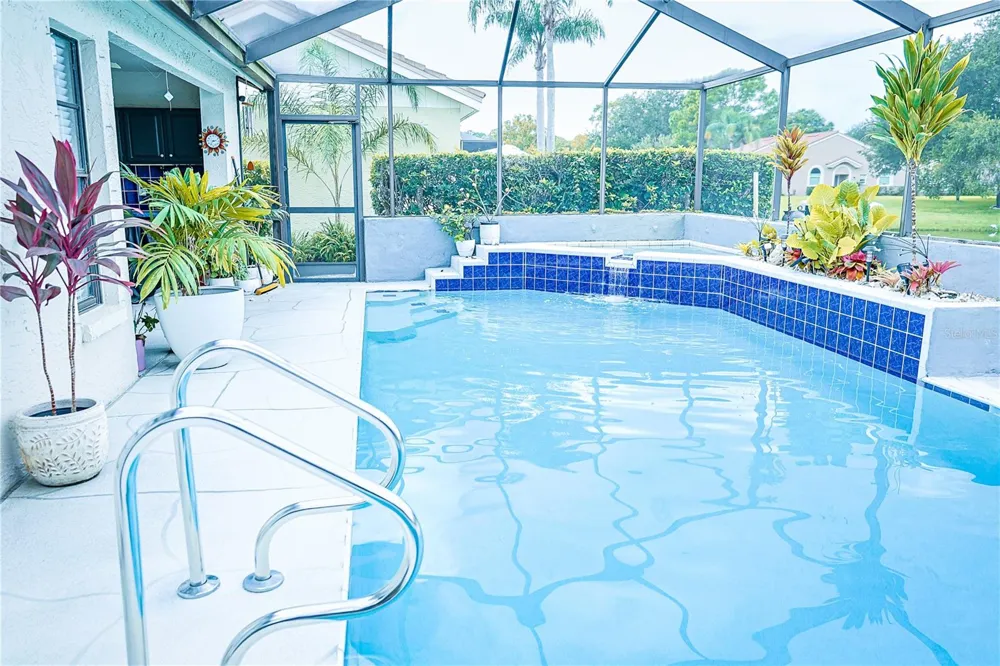 5585 GREYSTON STREET Palm Harbor, FL 34685