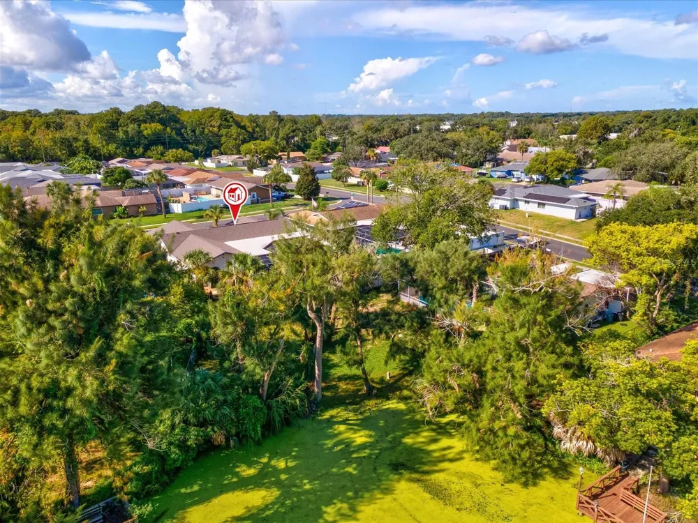 6907 BOTTLE BRUSH DRIVE Port Richey, FL 34668