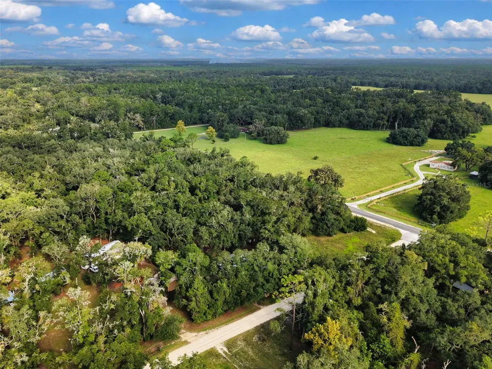 445 NE 649TH STREET Old Town, FL 32680