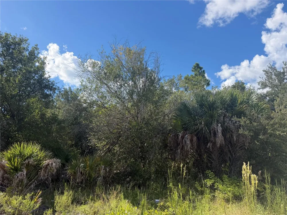 SWISS BOULEVARD Punta Gorda, FL 33982