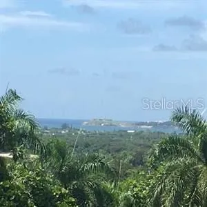 513 TINTILLO HILL ESTATES Guaynabo, PR 00966