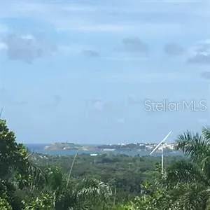 513 TINTILLO HILL ESTATES Guaynabo, PR 00966