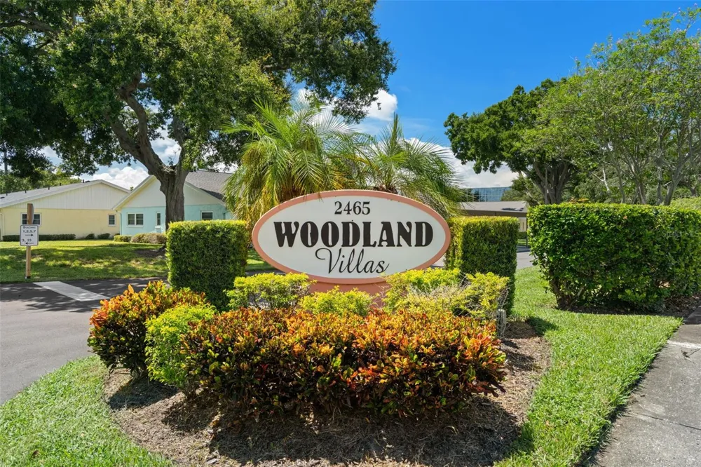2465 NORTHSIDE DRIVE #2303 Clearwater, FL 33761