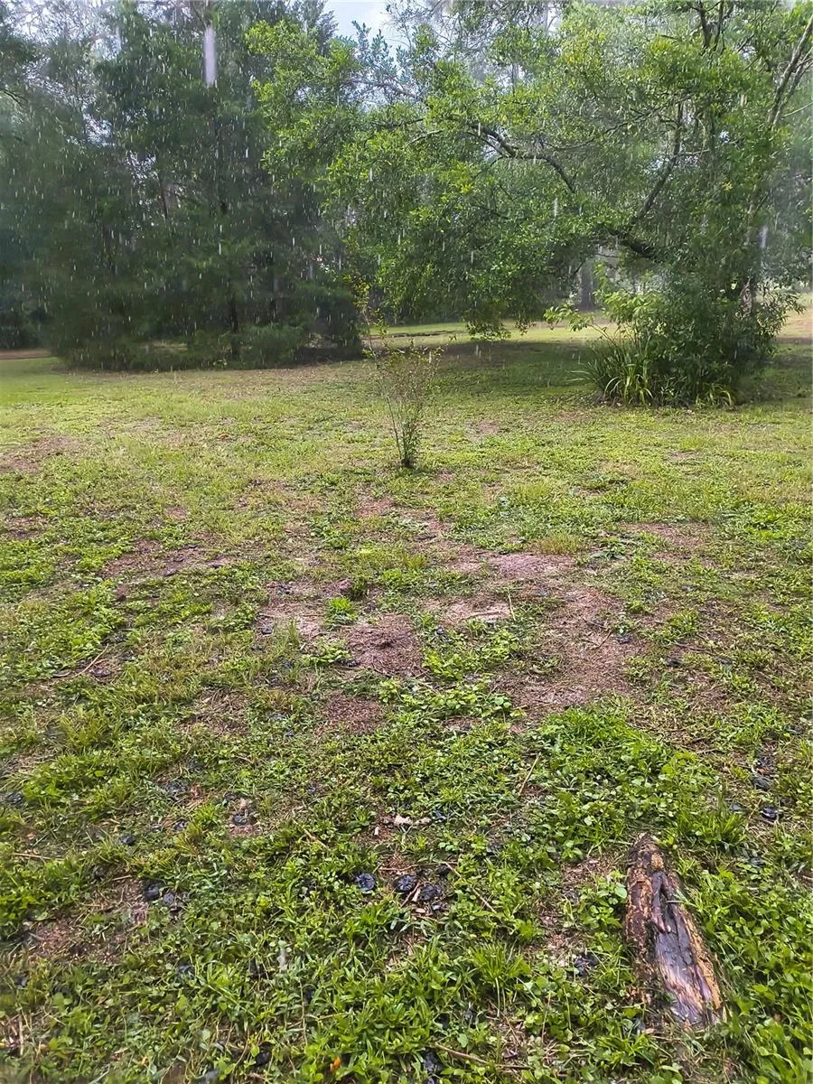 18250 CAUFIELD ROAD Spring Hill, FL 34610