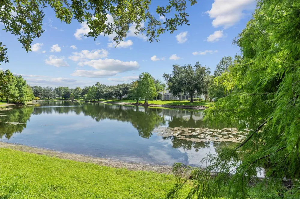 6243 ANDREOZZI LANE Windermere, FL 34786