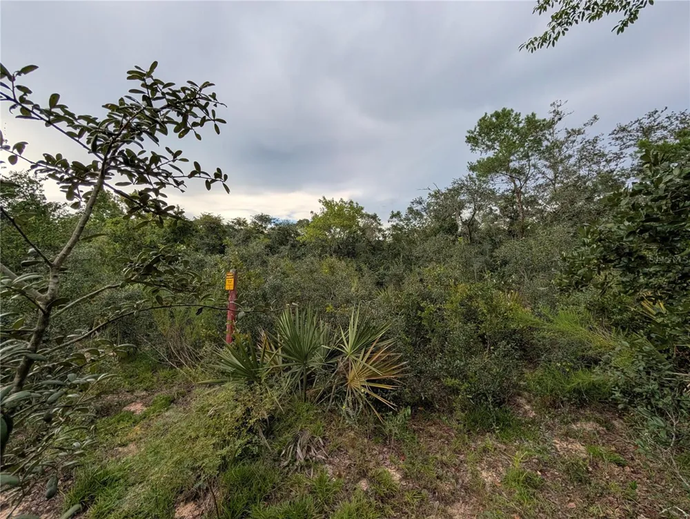 20683 SE 140TH STREET Umatilla, FL 32784
