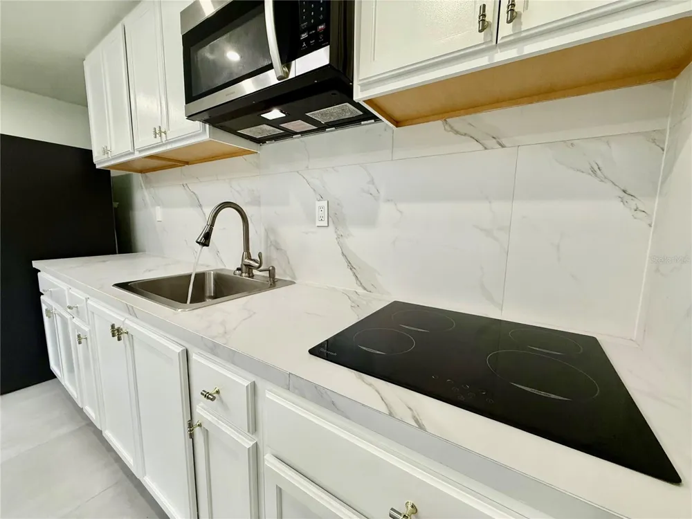 1706 E ANNIE STREET #C Tampa, FL 33612
