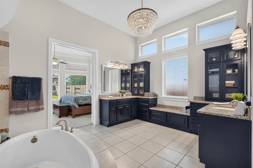 2619 Big Vine Court Missouri City, TX 77459