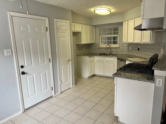 24010 Lone Elm Drive Spring, TX 77373