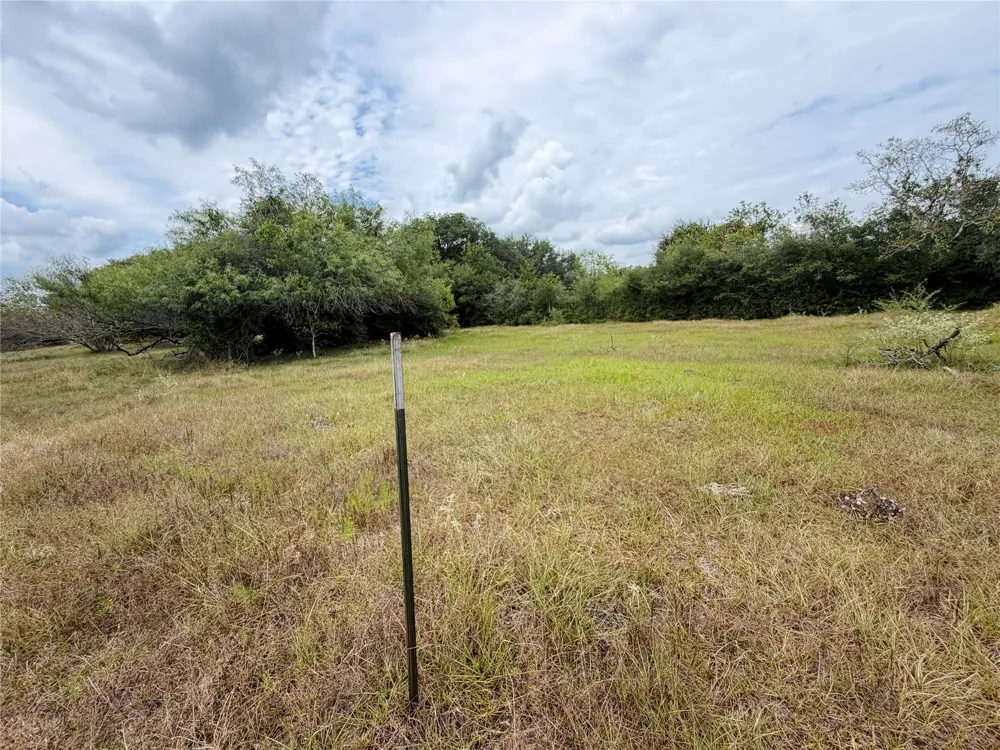County Road 449 West Columbia, TX 77486