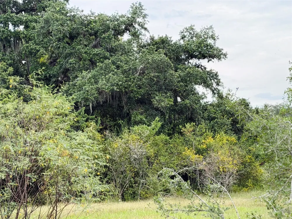 County Road 449 West Columbia, TX 77486