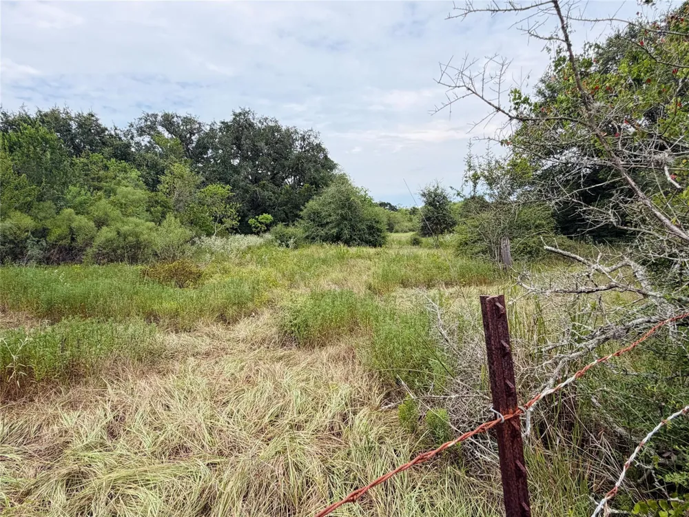 County Road 449 West Columbia, TX 77486