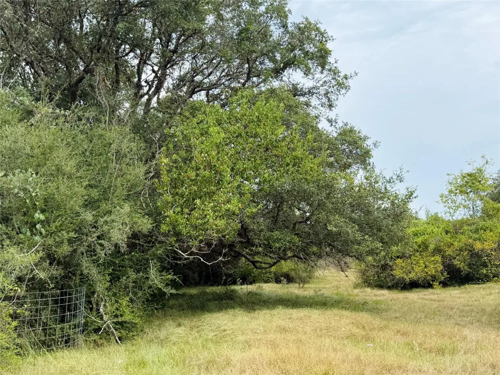 County Road 449 West Columbia, TX 77486