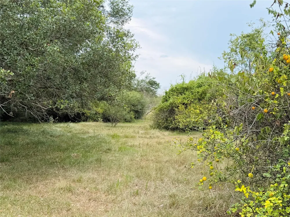 County Road 449 West Columbia, TX 77486