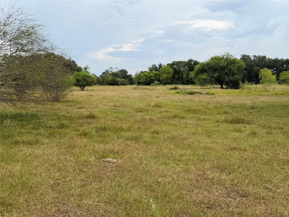 County Road 449 West Columbia, TX 77486