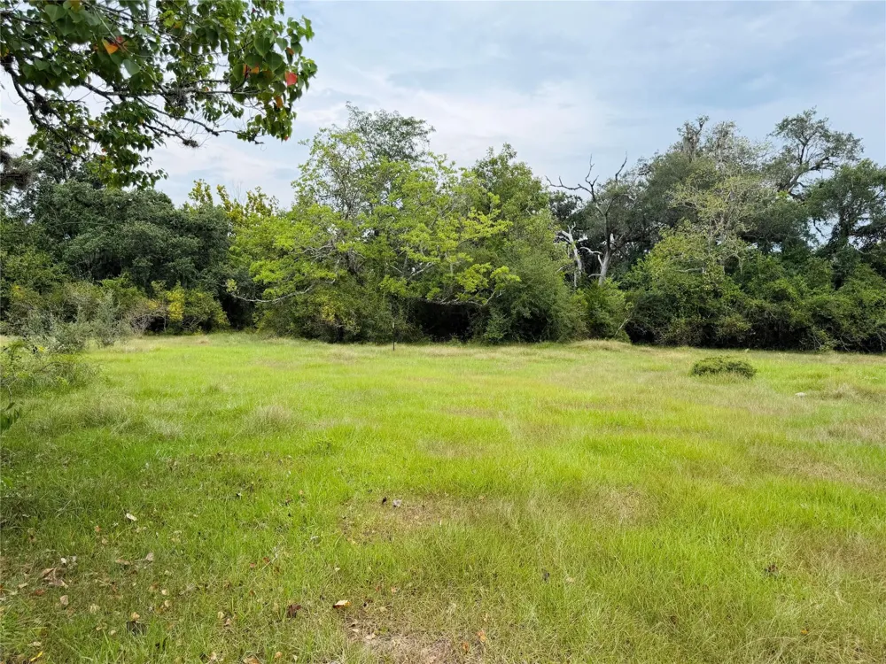 County Road 449 West Columbia, TX 77486
