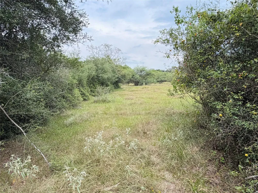 County Road 449 West Columbia, TX 77486