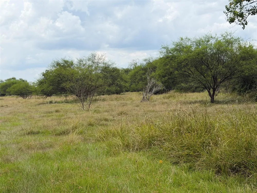 County Road 449 West Columbia, TX 77486