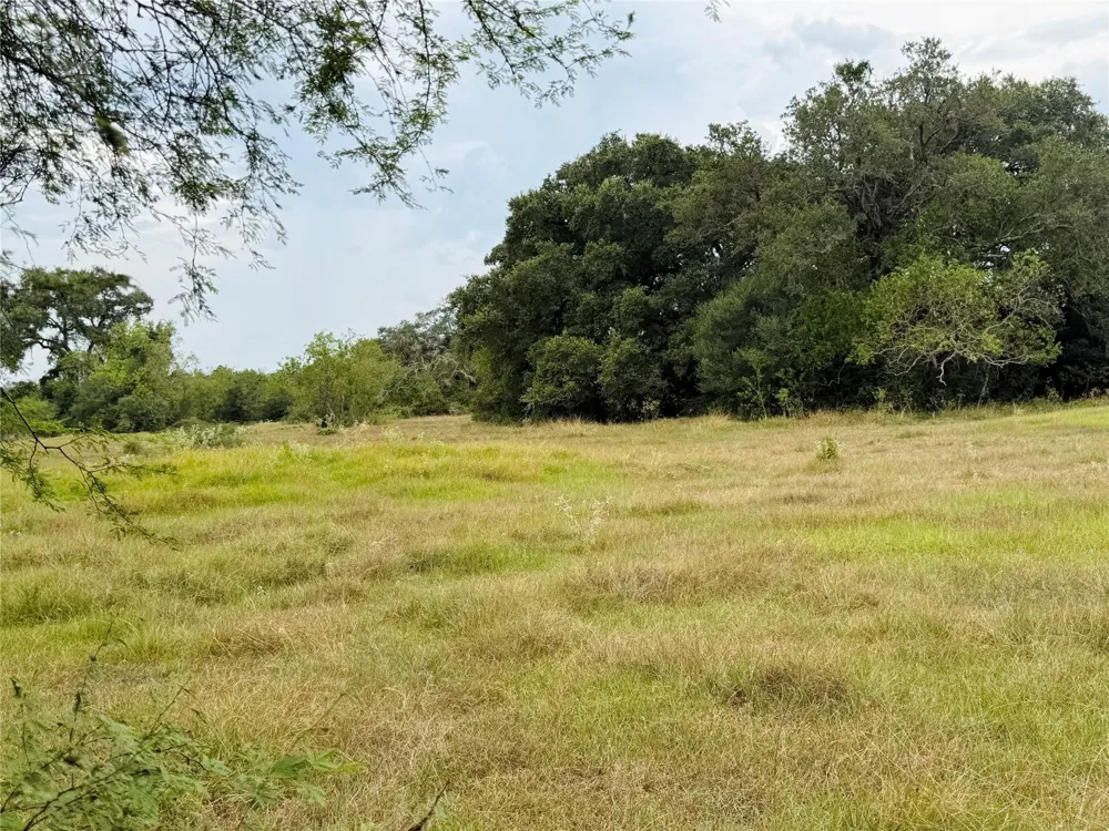 County Road 449 West Columbia, TX 77486