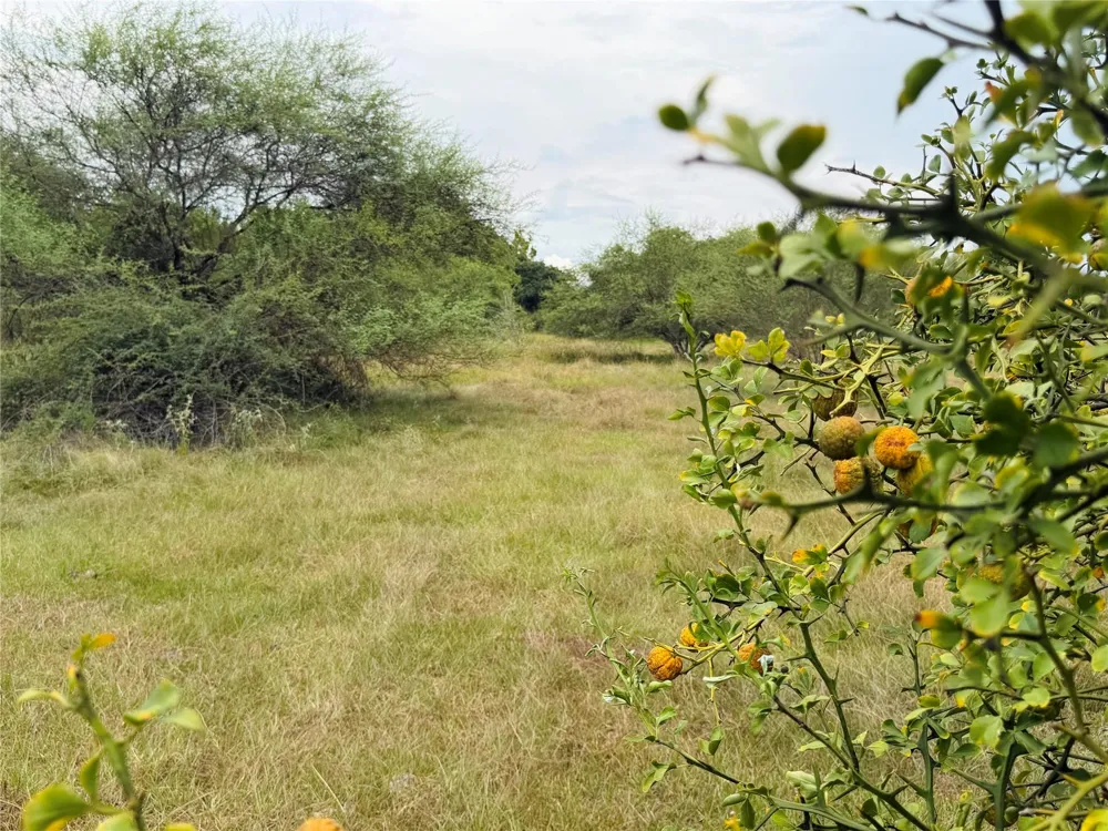 County Road 449 West Columbia, TX 77486