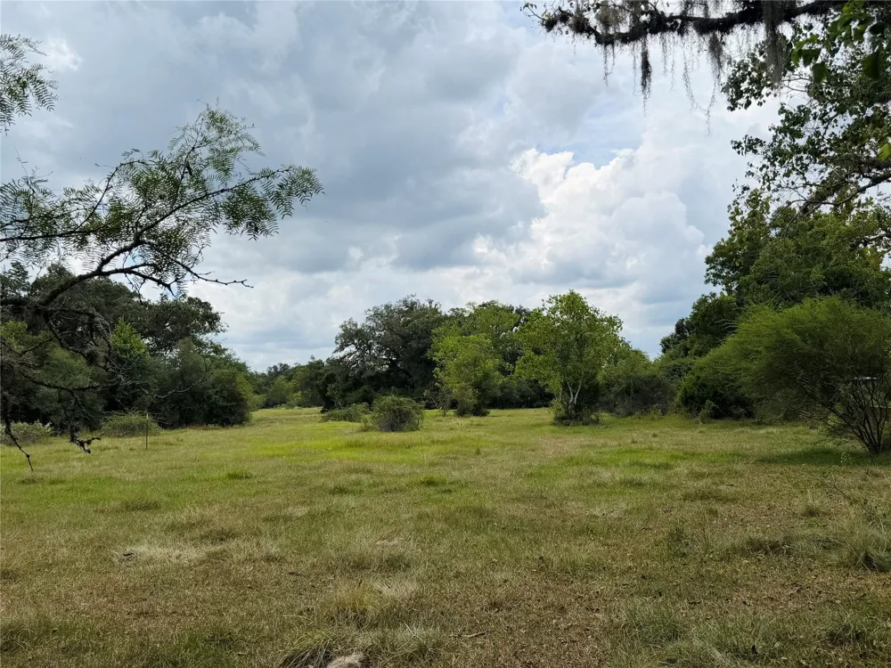 County Road 449 West Columbia, TX 77486