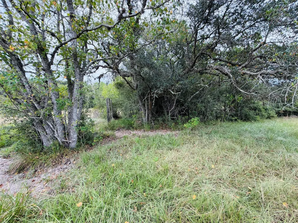 County Road 449 West Columbia, TX 77486