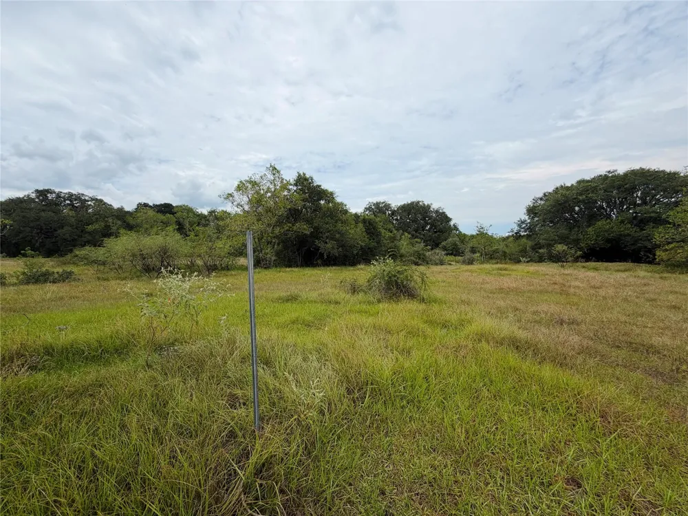 County Road 449 West Columbia, TX 77486