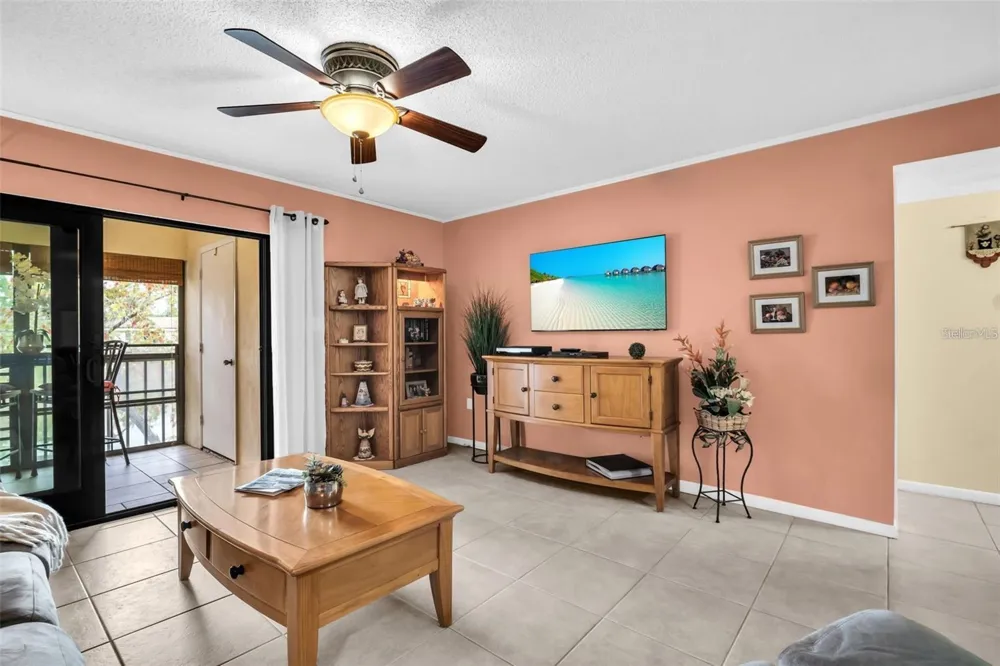 2700 NEBRASKA AVENUE #5-205 Palm Harbor, FL 34684