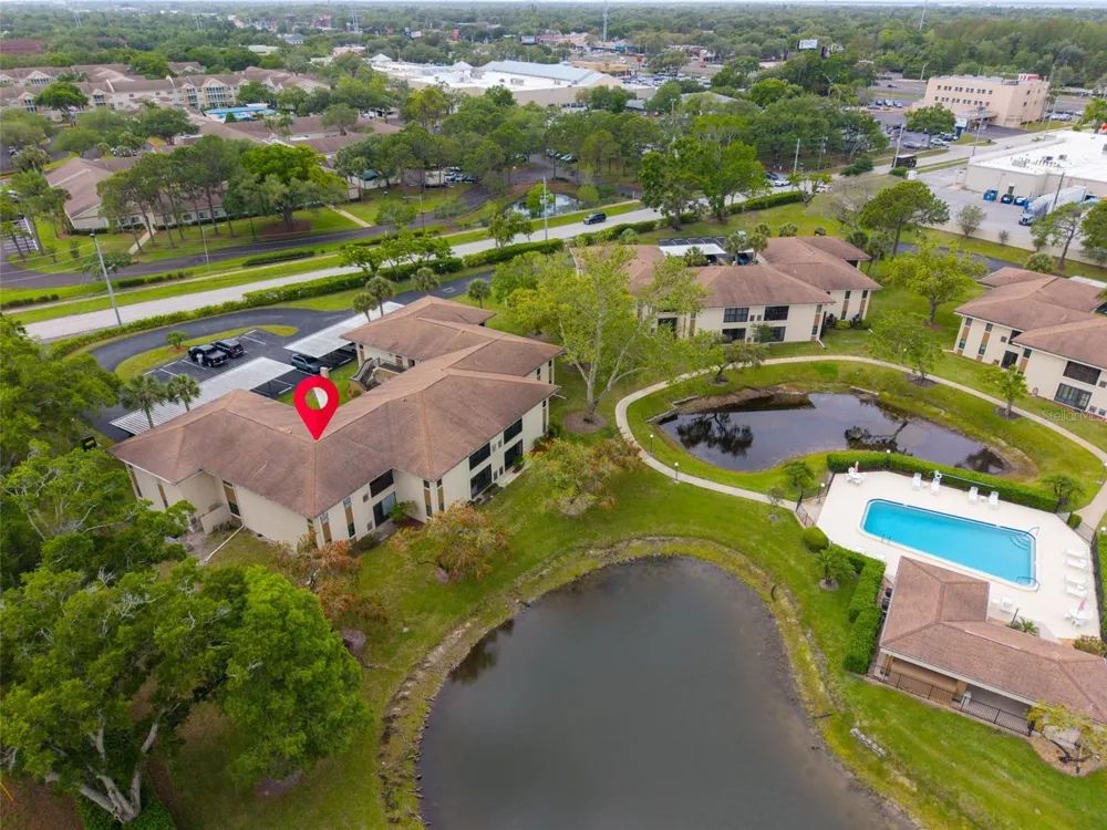 2700 NEBRASKA AVENUE #5-205 Palm Harbor, FL 34684