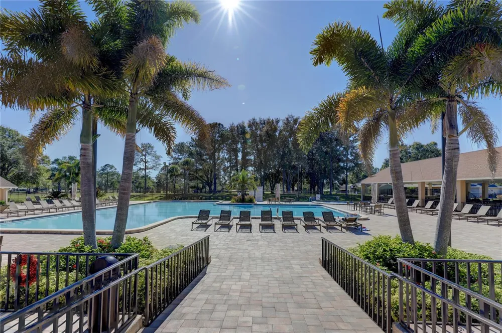 2700 NEBRASKA AVENUE #5-205 Palm Harbor, FL 34684