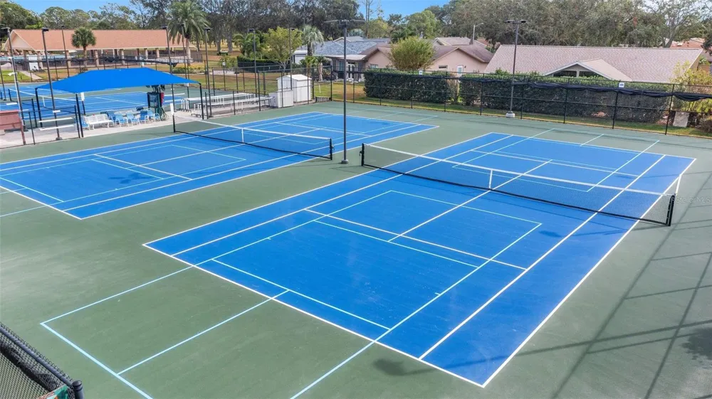2700 NEBRASKA AVENUE #5-205 Palm Harbor, FL 34684