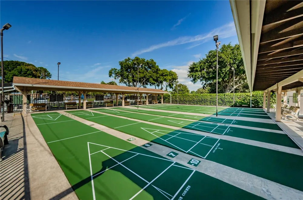 2700 NEBRASKA AVENUE #5-205 Palm Harbor, FL 34684