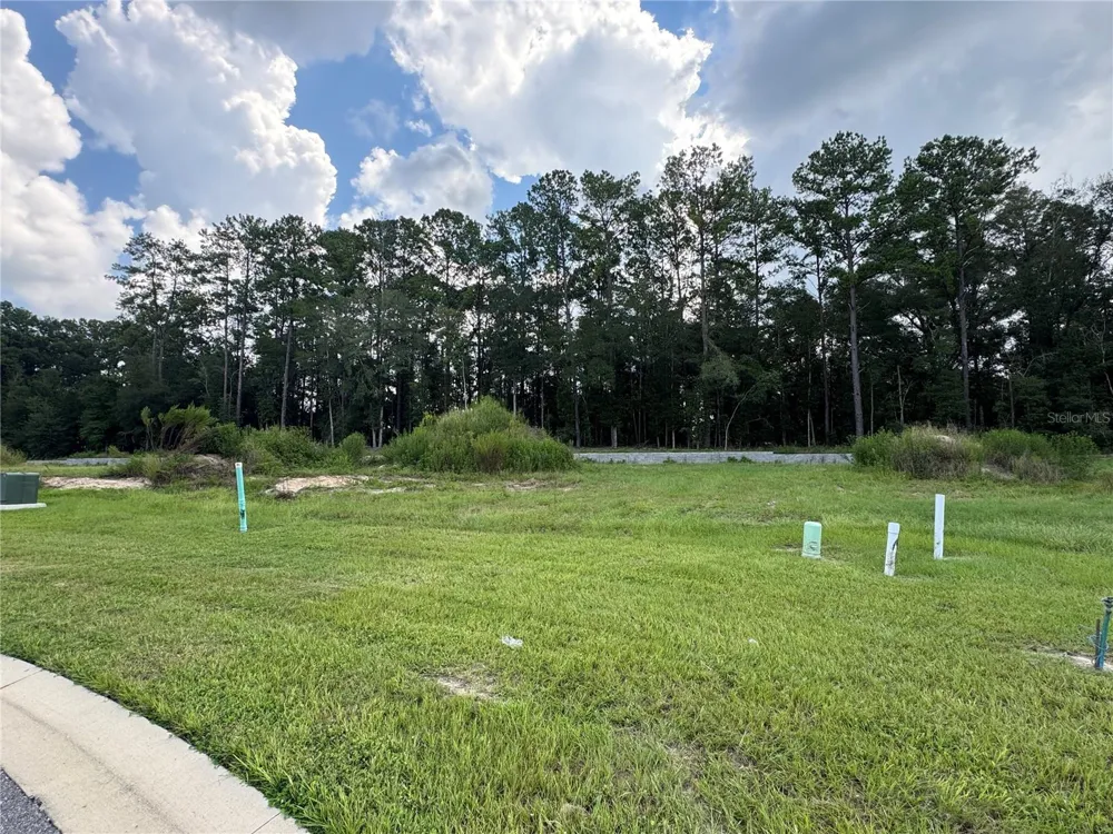 1099 SW 147TH TERRACE Newberry, FL 32669