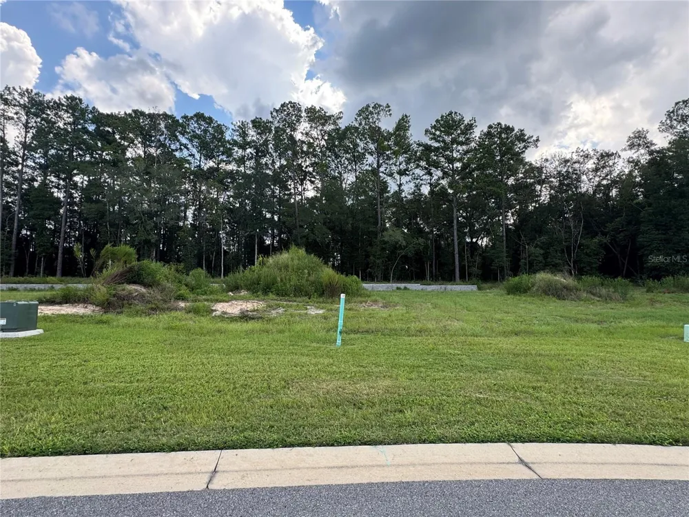 1099 SW 147TH TERRACE Newberry, FL 32669