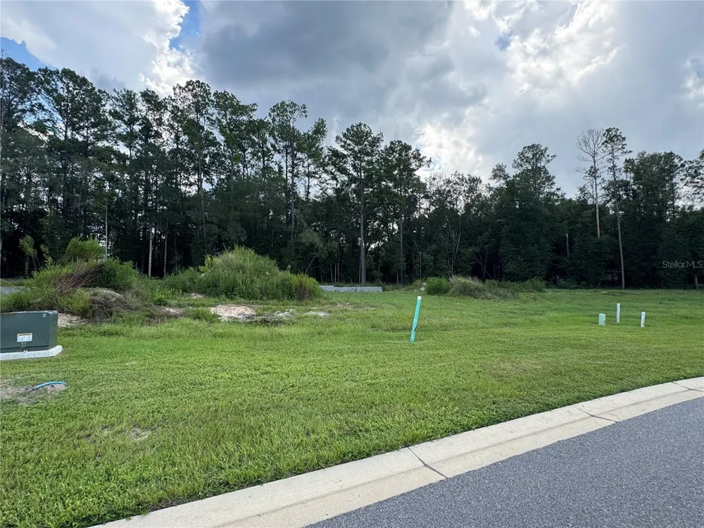 1099 SW 147TH TERRACE Newberry, FL 32669