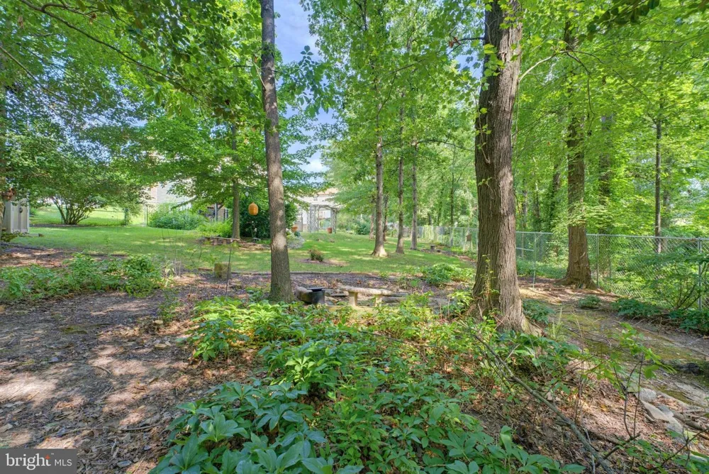 8109 OVERTON COURT Springfield, VA 22153