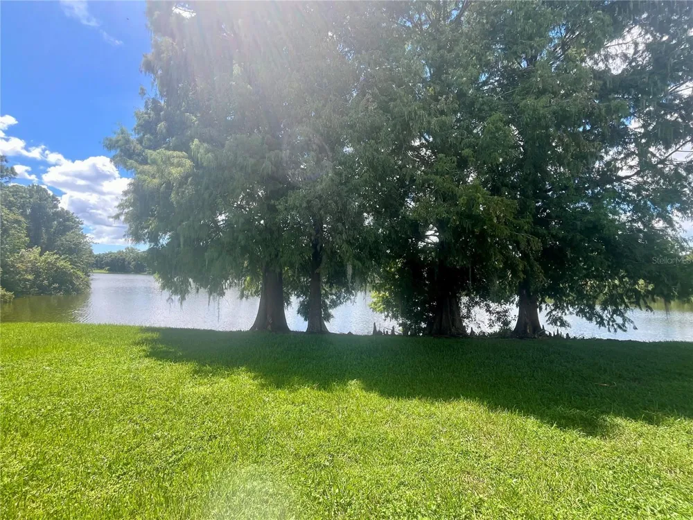 12356 BERKELEY SQUARE DRIVE Tampa, FL 33626