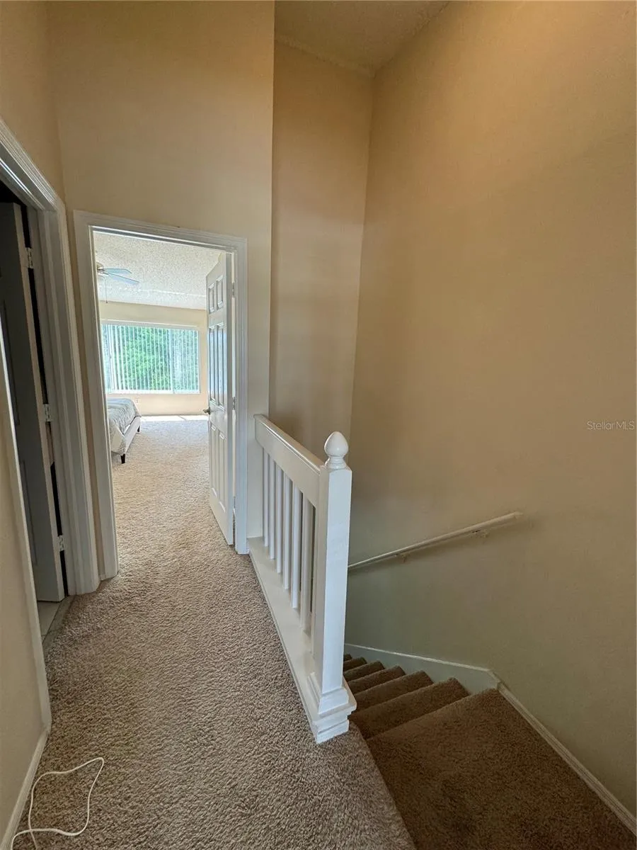 12356 BERKELEY SQUARE DRIVE Tampa, FL 33626